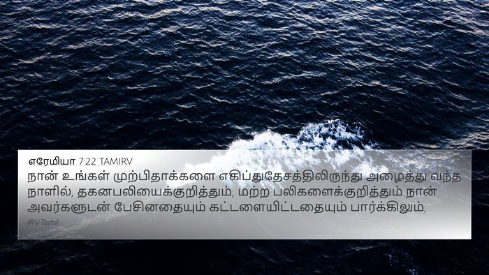 எரேமியா 7:22 TAMIRV Bible Verse Image