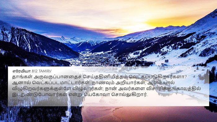 எரேமியா 8:12 TAMIRV Bible Verse Image
