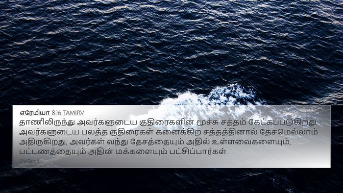 எரேமியா 8:16 TAMIRV Bible Verse Image