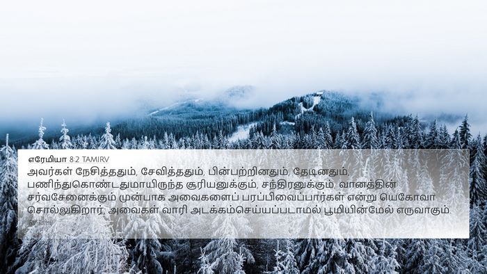 எரேமியா 8:2 TAMIRV 4K Wallpaper - அவர்கள் - 4K Wallpaper Bible Verse