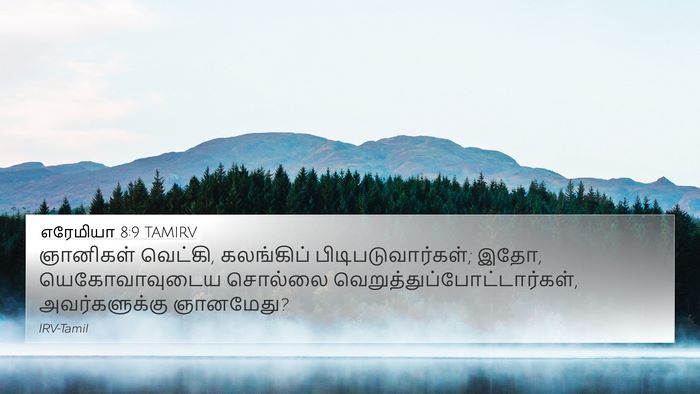 எரேமியா 8:9 TAMIRV Bible Verse Image