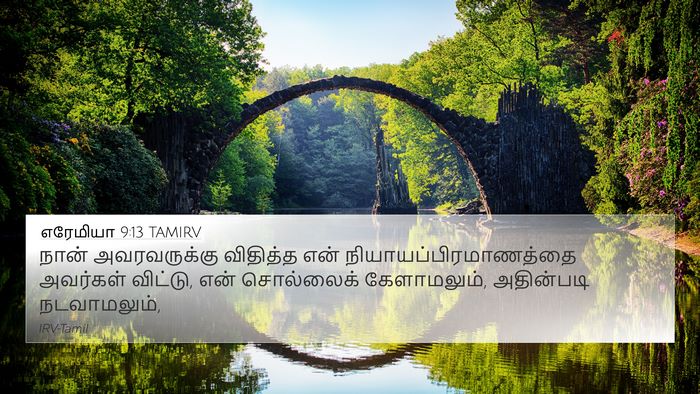 எரேமியா 9:13 TAMIRV Bible Verse Image