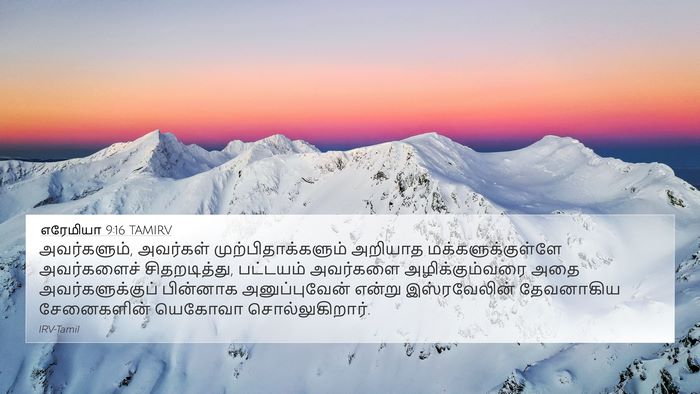 எரேமியா 9:16 TAMIRV Bible Verse Image