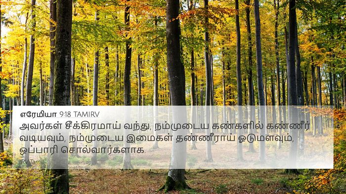 எரேமியா 9:18 TAMIRV Bible Verse Image
