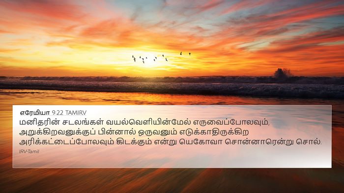 எரேமியா 9:22 TAMIRV Bible Verse Image