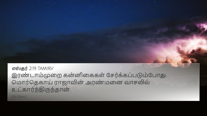 எஸ்தர் 2:19 TAMIRV Bible Verse Image