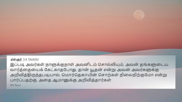 எஸ்தர் 3:4 TAMIRV 4K Wallpaper - இப்படி அவர்கள் - 4K Wallpaper Bible Verse