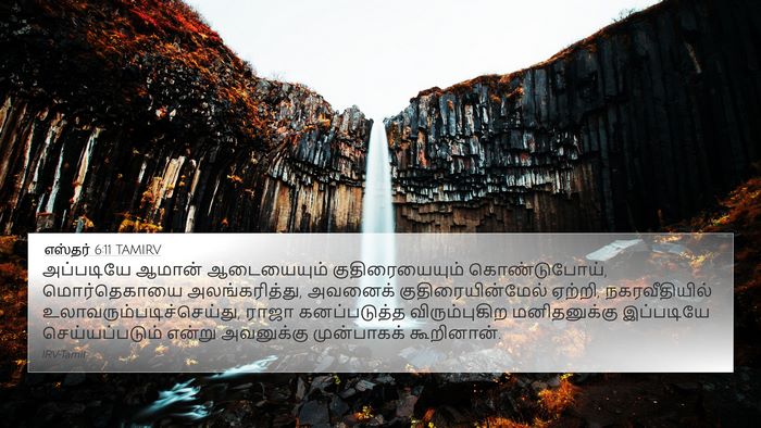 எஸ்தர் 6:11 TAMIRV Bible Verse Image