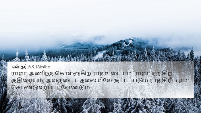 எஸ்தர் 6:8 TAMIRV Bible Verse Image