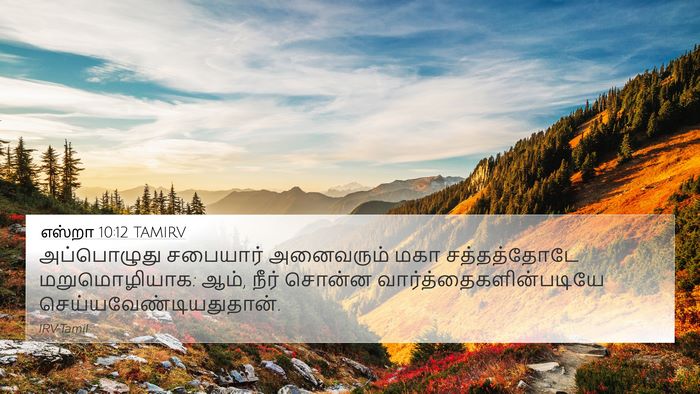 எஸ்றா 10:12 TAMIRV Bible Verse Image