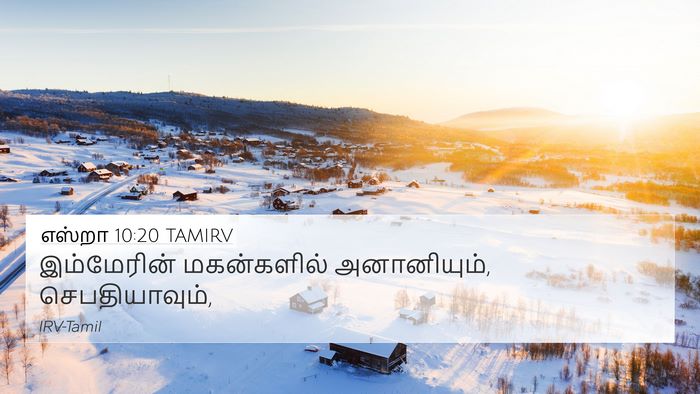 எஸ்றா 10:20 TAMIRV 4K Wallpaper - இம்மேரின் - 4K Wallpaper Bible Verse