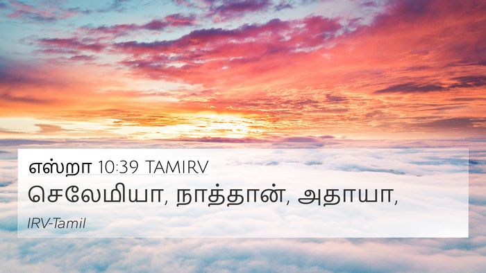 எஸ்றா 10:39 TAMIRV 4K Wallpaper - செலேமியா, - 4K Wallpaper Bible Verse