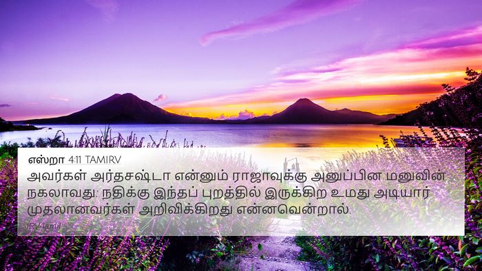 எஸ்றா 4:11 TAMIRV Bible Verse Image