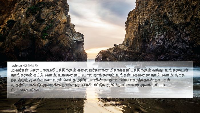 எஸ்றா 4:2 TAMIRV Bible Verse Image