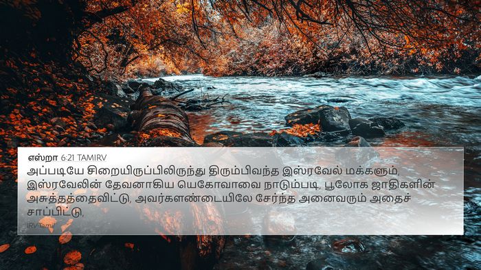 எஸ்றா 6:21 TAMIRV Bible Verse Image