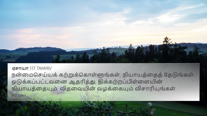 ஏசாயா 1:17 TAMIRV Bible Verse Image