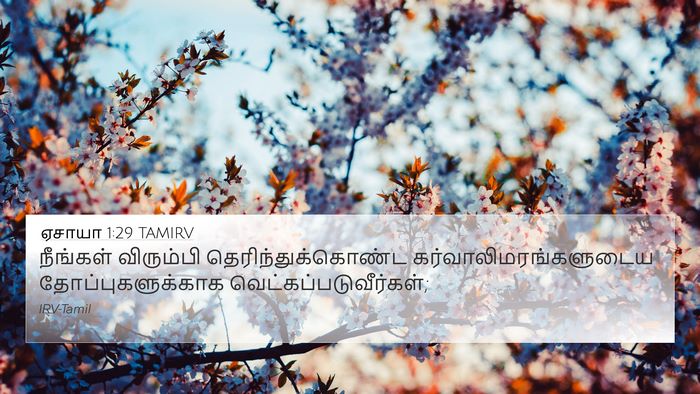 ஏசாயா 1:29 TAMIRV Bible Verse Image