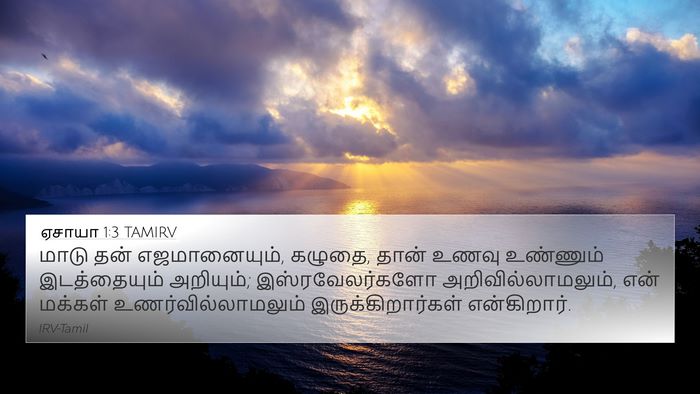 ஏசாயா 1:3 TAMIRV Bible Verse Image