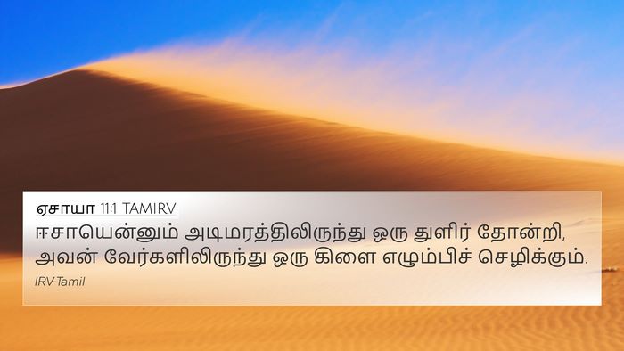 ஏசாயா 11:1 TAMIRV Bible Verse Image