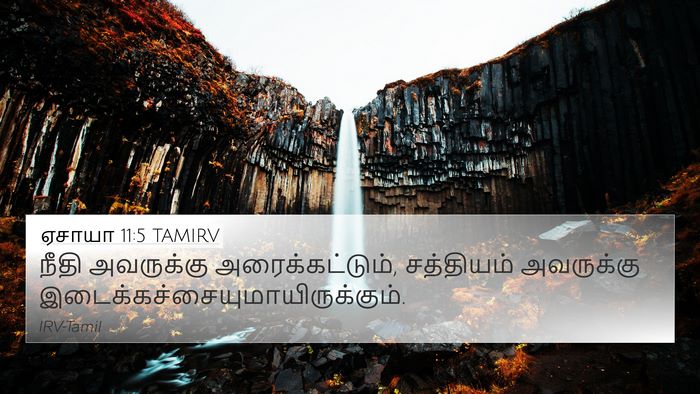 ஏசாயா 11:5 TAMIRV Bible Verse Image