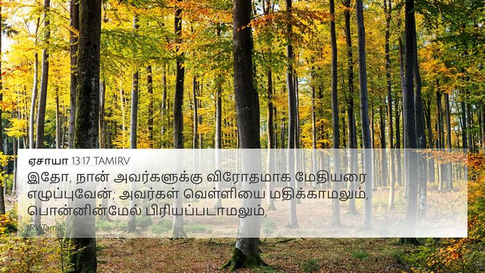 ஏசாயா 13:17 TAMIRV Bible Verse Image