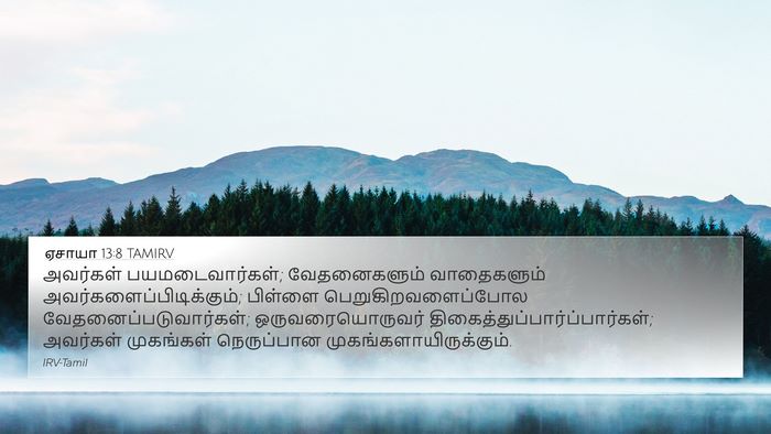 ஏசாயா 13:8 TAMIRV Bible Verse Image
