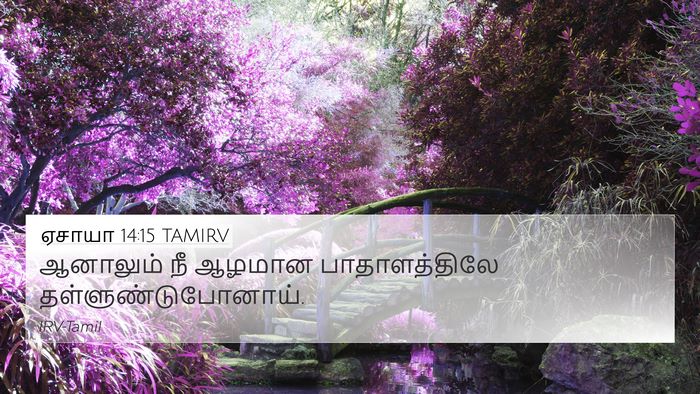ஏசாயா 14:15 TAMIRV 4K Wallpaper - ஆனாலும் நீ ஆழமான - 4K Wallpaper Bible Verse