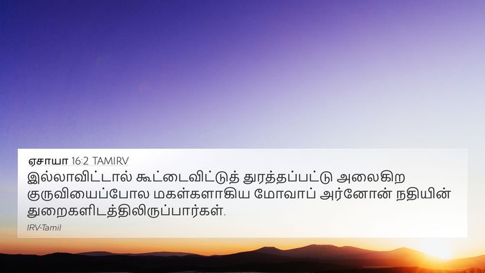 ஏசாயா 16:2 TAMIRV Bible Verse Image
