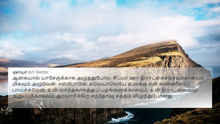 ஏசாயா 16:9 TAMIRV Bible Verse Image