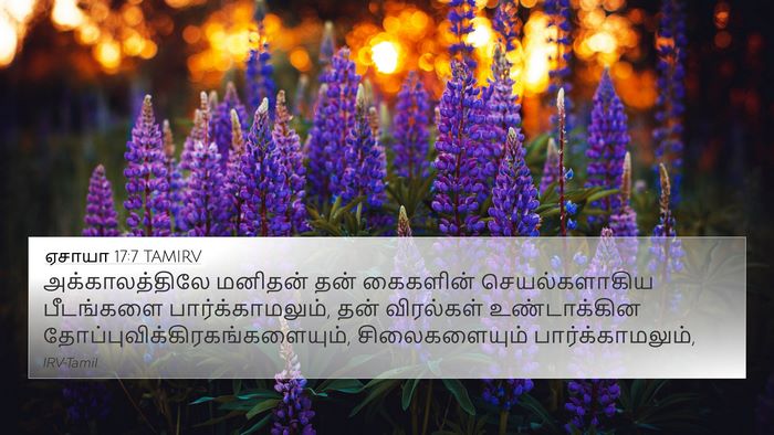 ஏசாயா 17:7 TAMIRV Bible Verse Image
