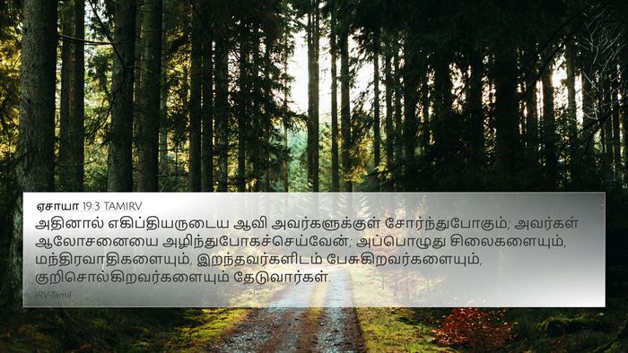 ஏசாயா 19:3 TAMIRV Bible Verse Image