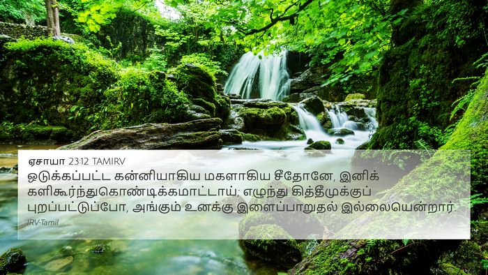 ஏசாயா 23:12 TAMIRV Bible Verse Image