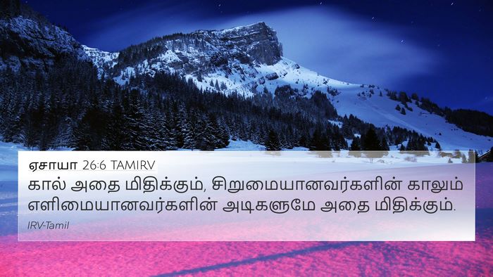 ஏசாயா 26:6 TAMIRV 4K Wallpaper - கால் அதை - 4K Wallpaper Bible Verse