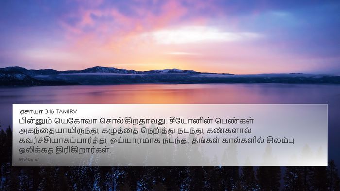 ஏசாயா 3:16 TAMIRV Bible Verse Image