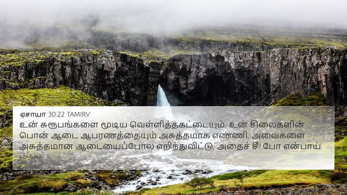 ஏசாயா 30:22 TAMIRV Bible Verse Image