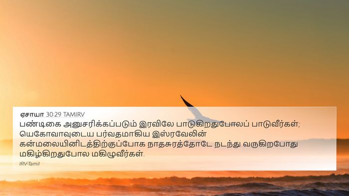 ஏசாயா 30:29 TAMIRV Bible Verse Image