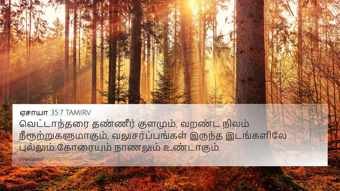 ஏசாயா 35:7 TAMIRV Bible Verse Image