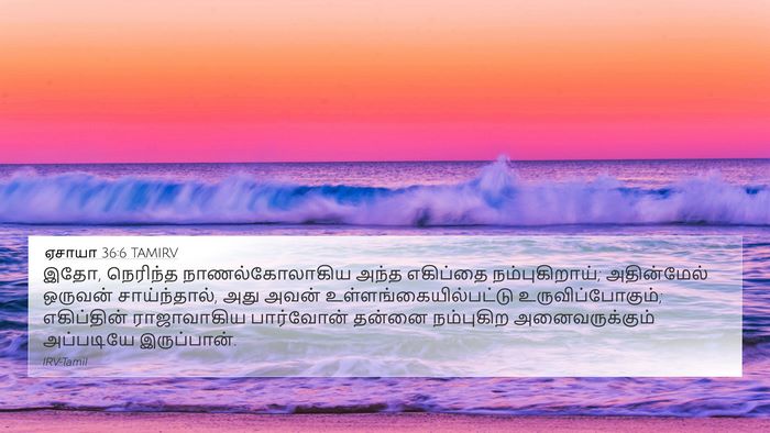 ஏசாயா 36:6 TAMIRV Bible Verse Image