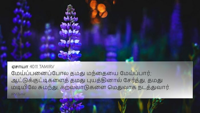 ஏசாயா 40:11 TAMIRV Bible Verse Image