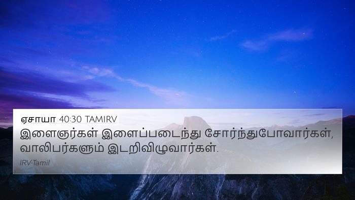 ஏசாயா 40:30 TAMIRV Bible Verse Image