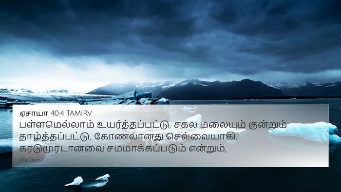 ஏசாயா 40:4 TAMIRV Bible Verse Image