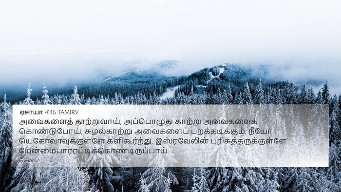 ஏசாயா 41:16 TAMIRV Bible Verse Image