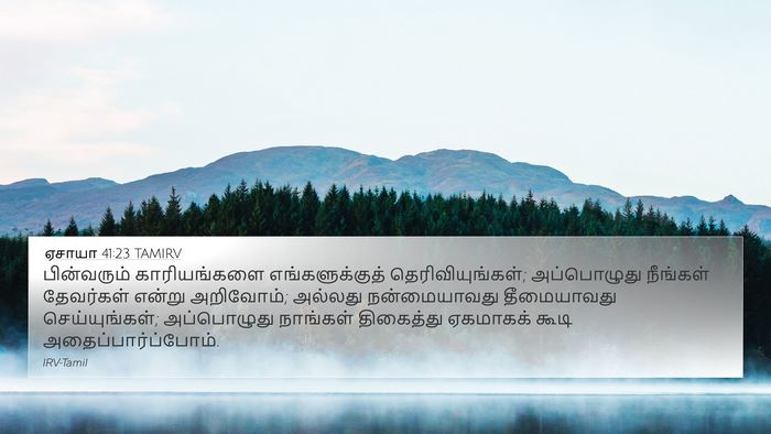 ஏசாயா 41:23 TAMIRV Bible Verse Image