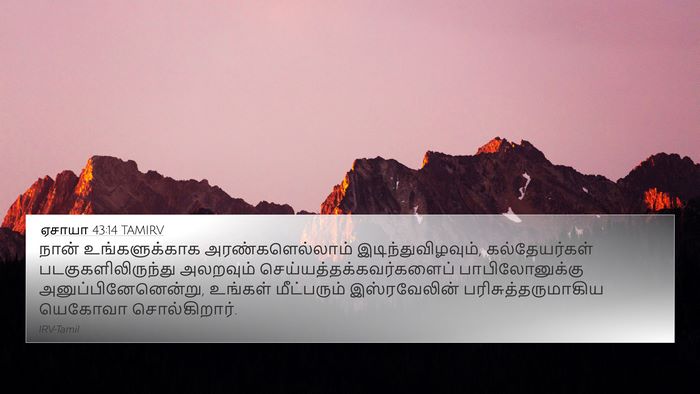 ஏசாயா 43:14 TAMIRV Bible Verse Image