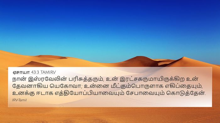 ஏசாயா 43:3 TAMIRV Bible Verse Image
