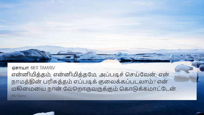 ஏசாயா 48:11 TAMIRV Bible Verse Image
