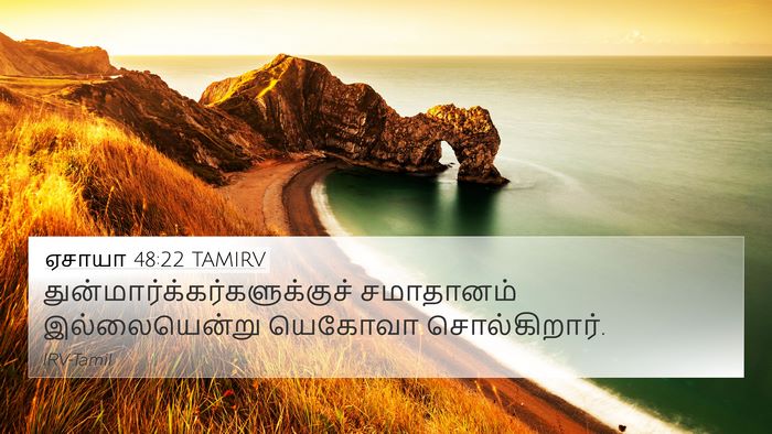 ஏசாயா 48:22 TAMIRV Bible Verse Image