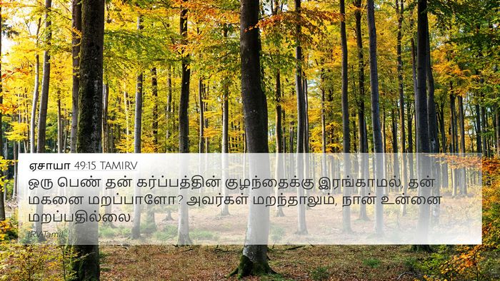 ஏசாயா 49:15 TAMIRV Bible Verse Image