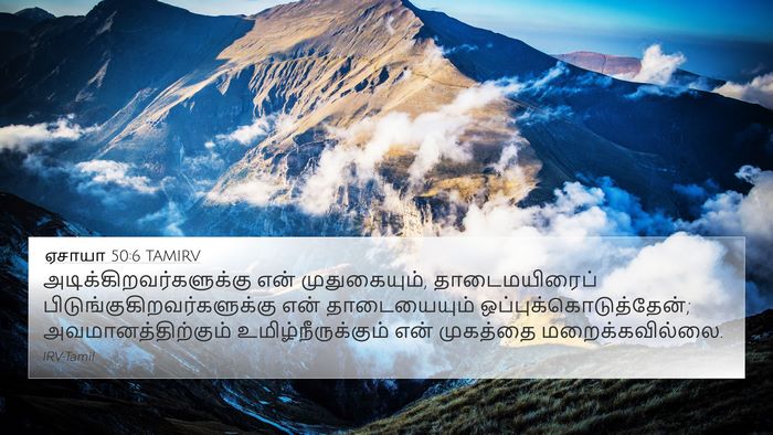 ஏசாயா 50:6 TAMIRV Bible Verse Image