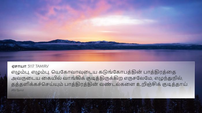 ஏசாயா 51:17 TAMIRV Bible Verse Image